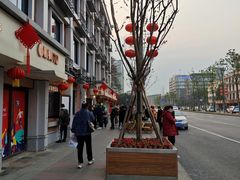 -邓氏兔头