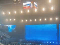 -大连体育中心体育馆