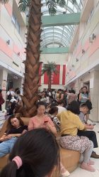 -复旦大学附属妇产科医院(杨浦院区)