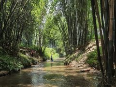 -红山村