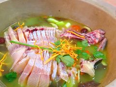 江鲨鱼-云南野生菌石锅鱼石锅鸡(大金塔店)