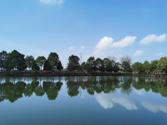 -武汉紫薇都市田园