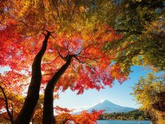 -富士山吉田線五合目