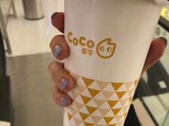 鲜芋青稞醇牛奶-CoCo都可(合生汇店)