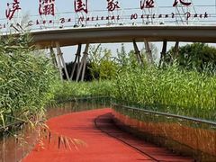 -西安浐灞国家湿地公园