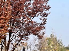 -熊氏牛羊杂粉(龙眼井总店)