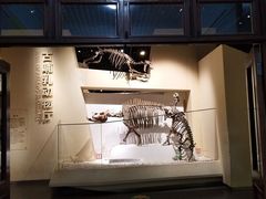 -国家自然博物馆