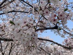 -栖露营camping·天幕烧烤·团建拓展·采摘营地
