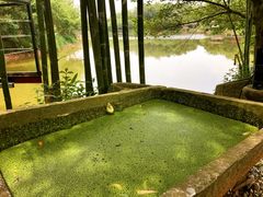 -老木棉·匠园