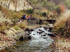 -广州市石门国家森林公园