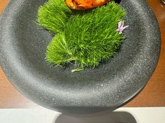-觀芷隐轩