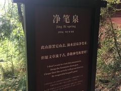 -川西竹海景区