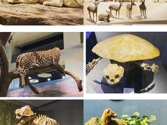 -长江文明馆