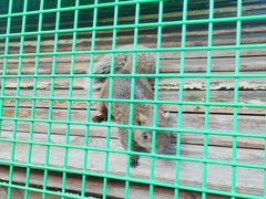 -同里湖度假村(二期店)
