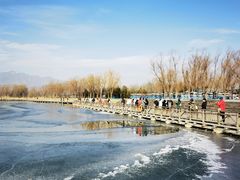 -野鸭湖国家湿地公园