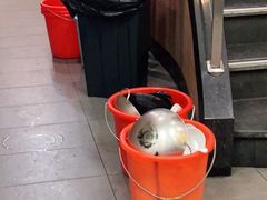 -泰煌鸡·上海白斩鸡·沪菜(平利店)