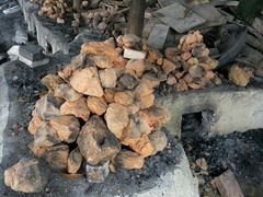 -头塘庄园(农家乐)