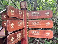 -中国科学院西双版纳热带植物园