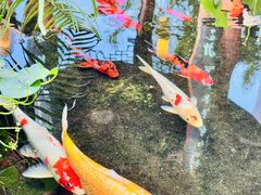 -道南書院·私房菜·早午茶·茶馆