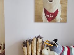 -Husky Go! 哈士奇体验馆·宠物咖啡厅狗咖