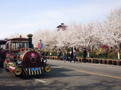 -古柏渡飞黄旅游区