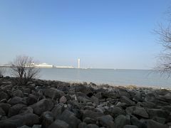 -上海吴淞炮台湾国家湿地公园