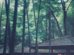 -石燕湖生态旅游景区