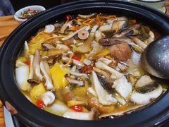 -菌之家·专业纯野生菌火锅·特色炒菌