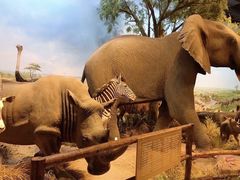 -陕西自然博物馆