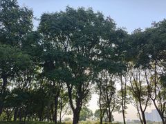 -尚贤河湿地