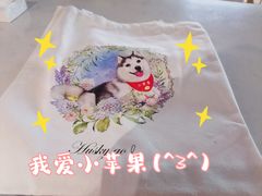 -Husky Go! 哈士奇体验馆·宠物咖啡厅狗咖