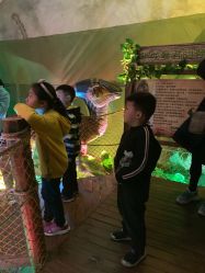 -恐龙探索乐园(磁器口店)