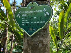 -呀诺达热带雨林