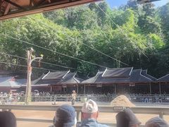 -野象谷景区