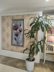 -东方美美容SPA会所