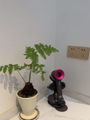 -WENDY·温迪皮肤管理