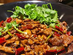 -食乐佳麻辣香锅(森林摩尔商业街区店)