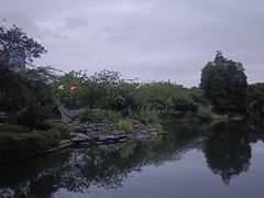 -四海公园(南山区)