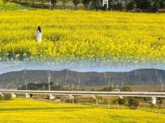-光明小镇欢乐田园