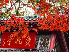 -岳麓山风景名胜区