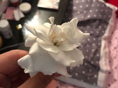 -万商花鸟市场