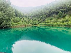 -九龙潭景区