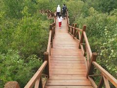-大岭沟猕猴桃谷风景区