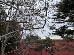 -北京市劳动人民文化宫(太庙)