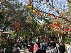 -天目湖山水园