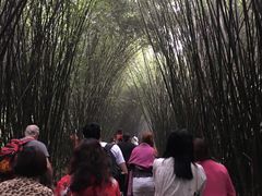 门面-成都大熊猫繁育研究基地