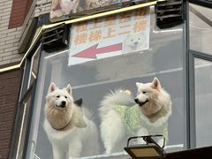 -CowCow其其·牛杂咖啡公司(六运店)