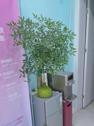 -斐尔国际皮肤管理中心