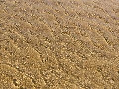 -日照海滨国家森林公园