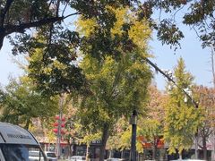 -一记洛阳菜·糖醋小排·水席(十字街店)